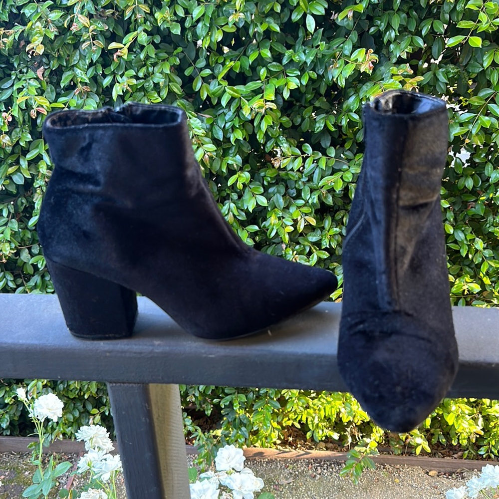 Steve Madden Stable Ankle Boots-Velvet